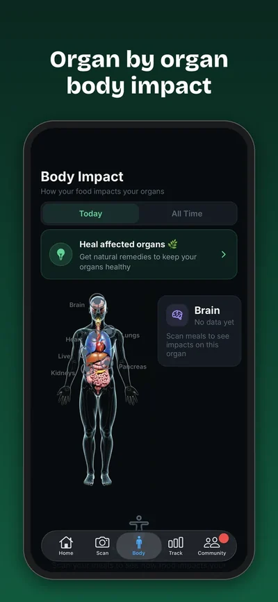 Organ by organ body impact map